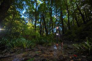 BIB: 
                            <button type="button" onclick="openModal(19231964)" class="btn btn-primary btn-sm float-right btn-popup" data-toggle="modal" data-target=".modal-high-quality">
                        <i class="fas fa-shopping-cart"></i> Add to Cart
                    </button>
                                            <button type="button" onclick="isThisMe(19231964, true)" class="btn btn-success btn-sm float-right btn-popup btn-isme hidden" data-toggle="tooltip" data-placement="bottom" title="นี่คือรูปของคุณใช่ไหม คลิกที่นี่เพื่อเอาเข้าอัลบั้ม">
                        <i class="fas fa-plus"></i> Add to album
                    </button>
                    <button type="button" onclick="isThisMe(19231964, false)" class="btn btn-warning btn-sm float-right btn-popup btn-isnotme hidden">
                        <i class="fas fa-ban"></i> Remove from album
                    </button>